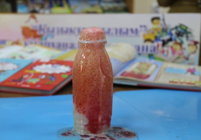 121497593_256595365781988_3892089258372457323_n